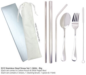 B ECO STAINLESS STEEL STRAW SET 1 (V23) - BIG
