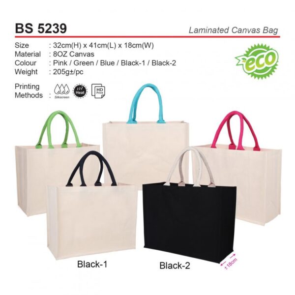 AD BS 5239 Laminated Canvas Bag